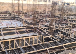 WhatsApp Image 2026-01-19 at 4.07.32 PM (1)