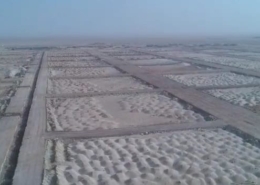 WhatsApp Image 2026-01-19 at 4.10.57 PM