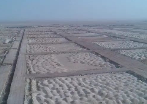 WhatsApp Image 2026-01-19 at 4.10.57 PM