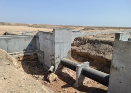 WhatsApp Image 2026-01-19 at 4.10.59 PM