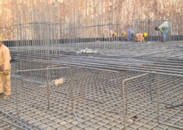 WhatsApp Image 2026-01-19 at 4.11.39 PM (1)