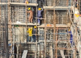 WhatsApp Image 2026-01-19 at 4.11.41 PM (2)