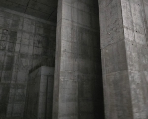 WhatsApp Image 2026-01-19 at 4.11.45 PM (1)