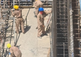 WhatsApp Image 2026-01-19 at 4.11.47 PM (2)